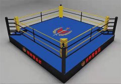 潍坊宏博体育中国拳击运动协会指定产品